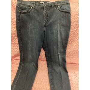 Style & Co Womens Blue Denim Straight Leg Jeans Size 18W Stretch Fall Winter